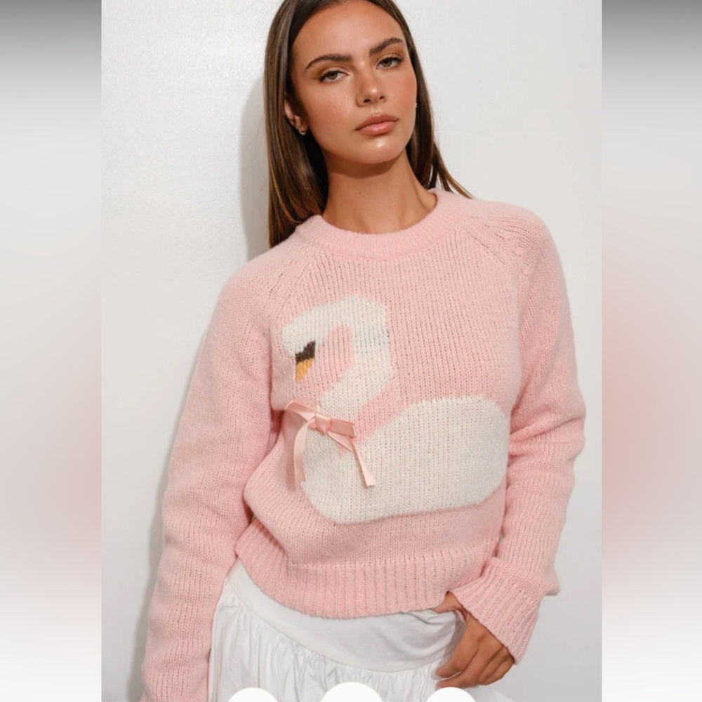 Pretty Garbage Pink Swan Sweater